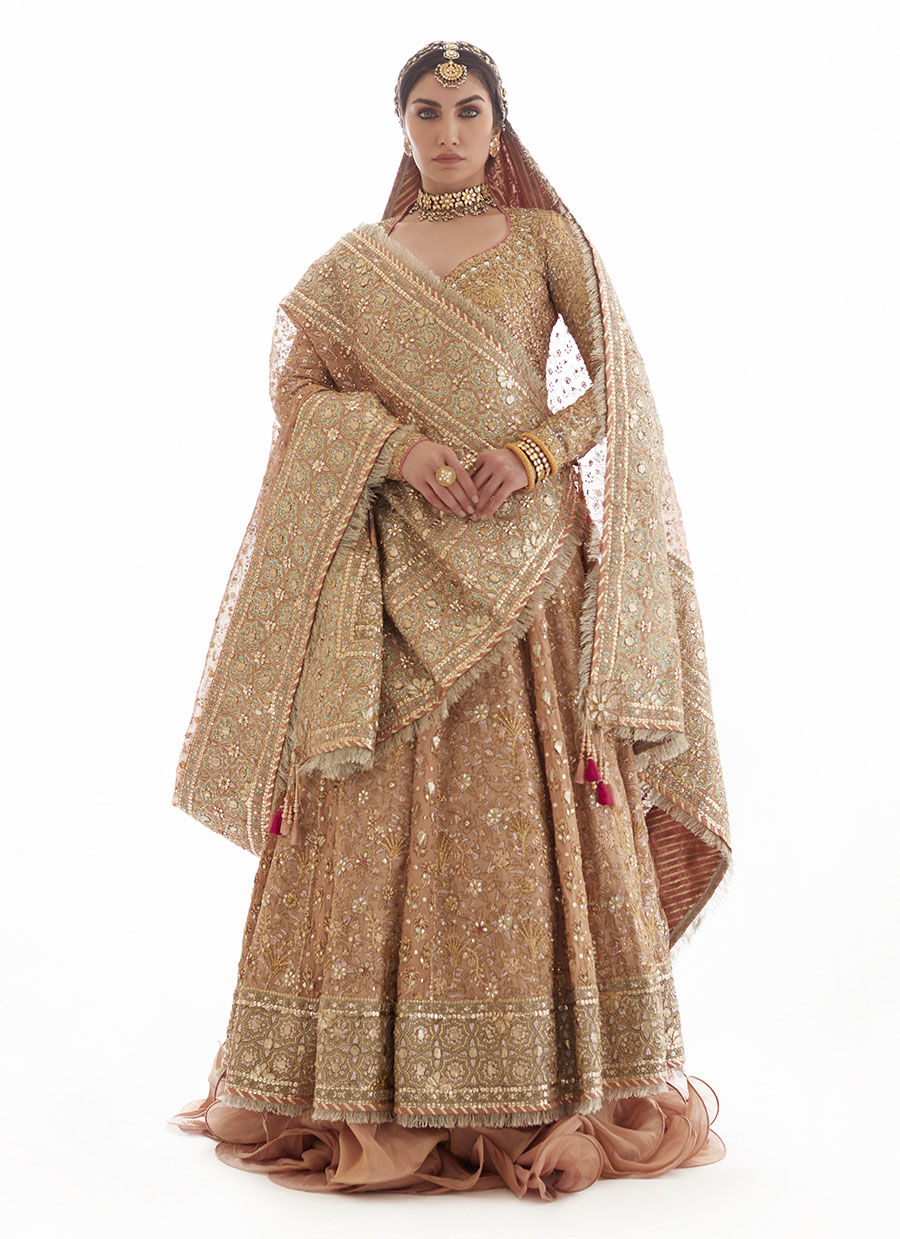 Rose Gold Embroidered Tissue Kalidaar Lehenga (3-Piece) - Image 3