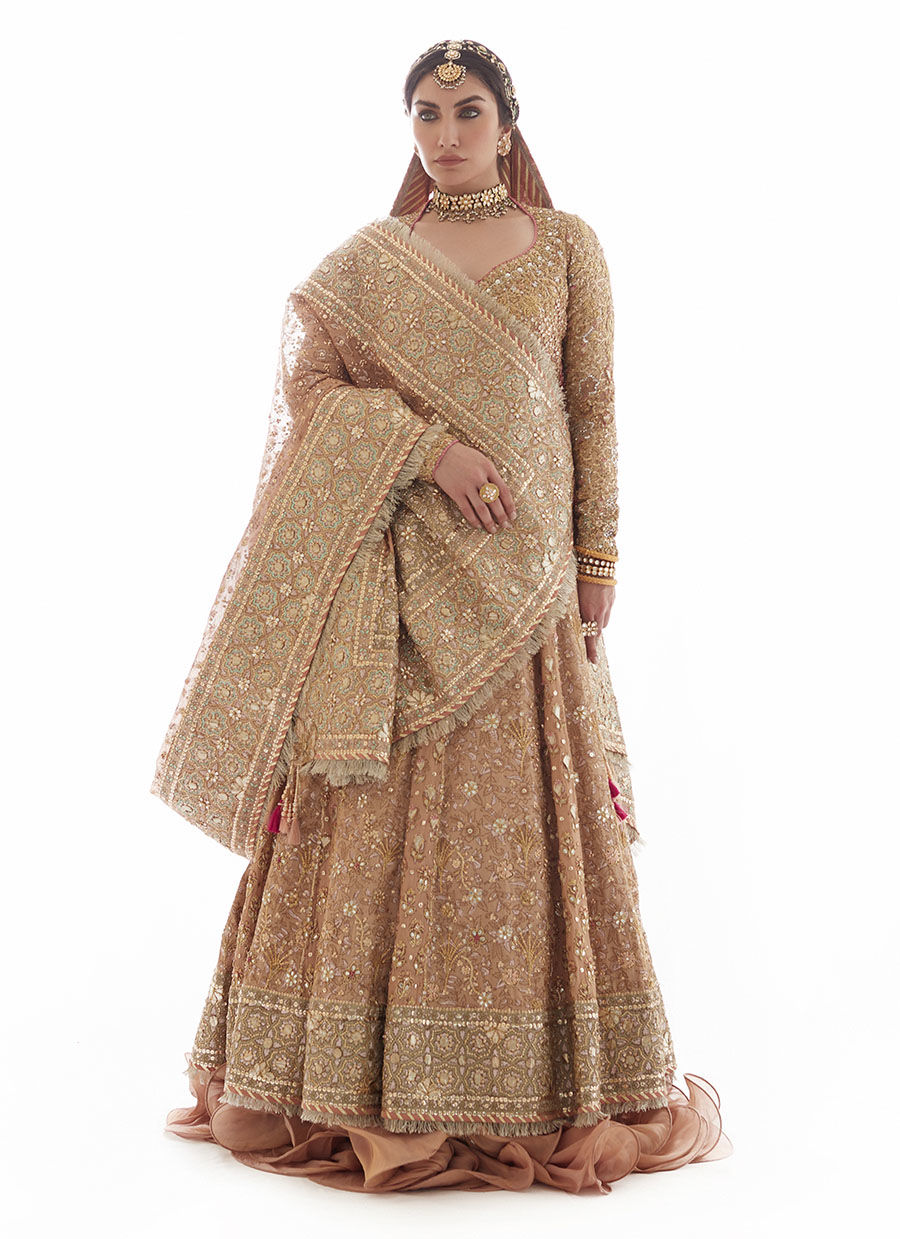 Rose Gold Embroidered Tissue Kalidaar Lehenga (3-Piece) - Image 4