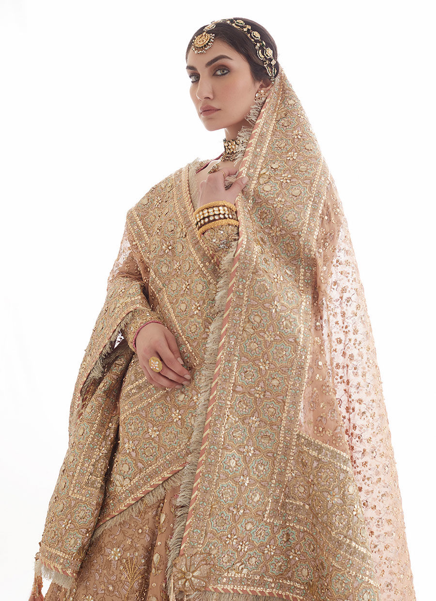 Rose Gold Embroidered Tissue Kalidaar Lehenga (3-Piece) - Image 7