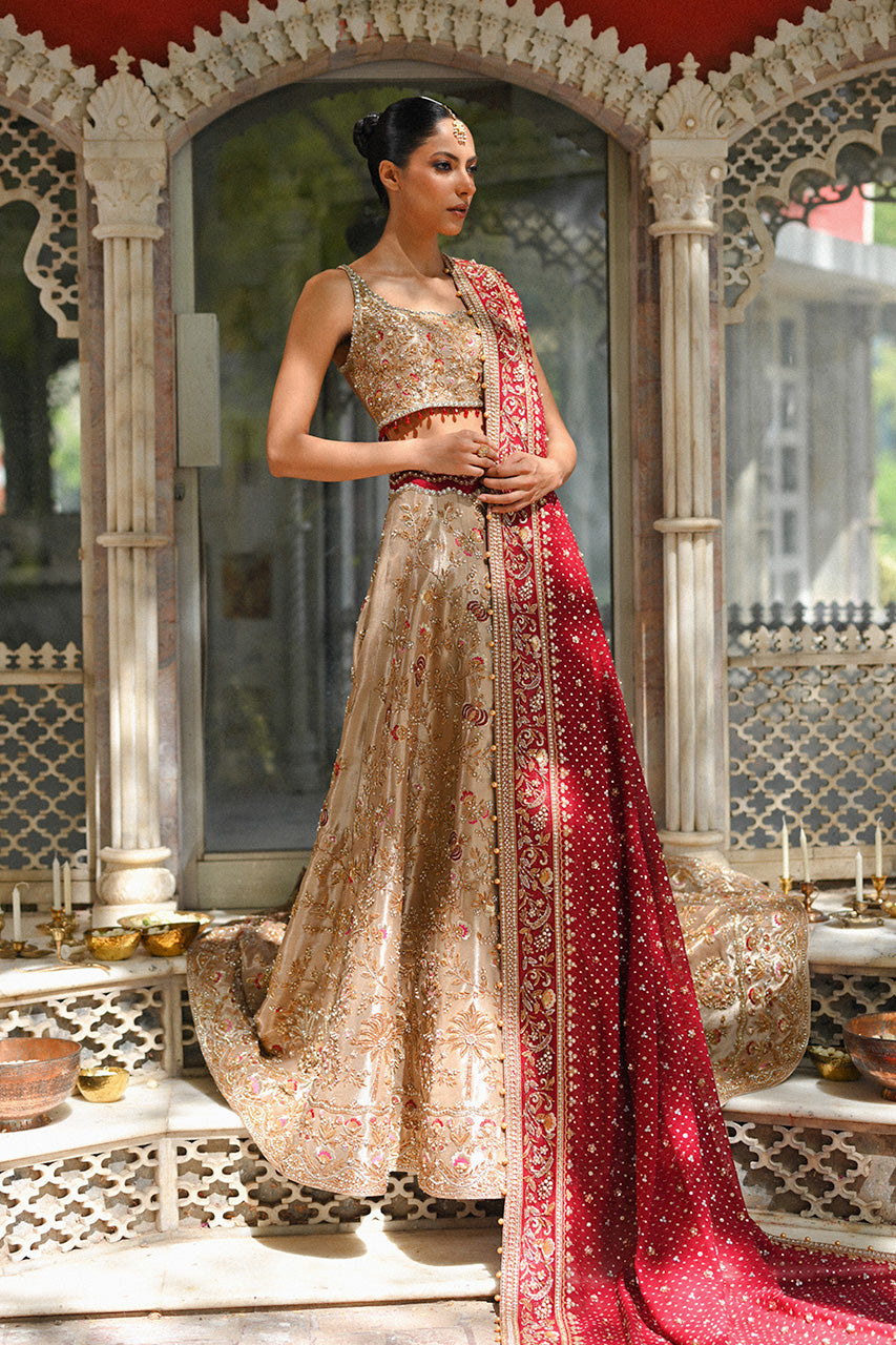 Gold Zardozi Tissue Lehnga Choli (3-Piece) - Image 4