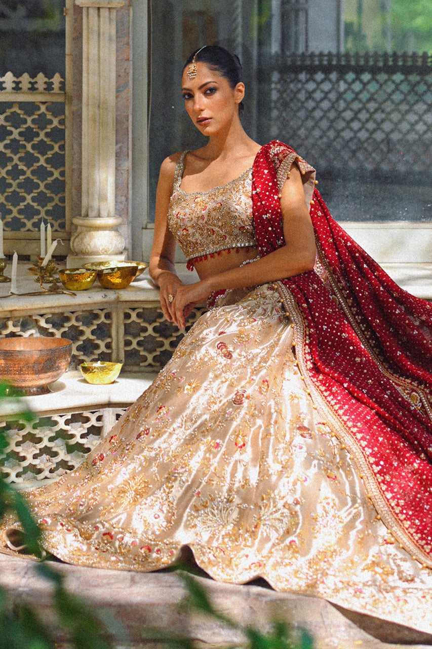 Gold Zardozi Tissue Lehnga Choli (3-Piece) - Image 6