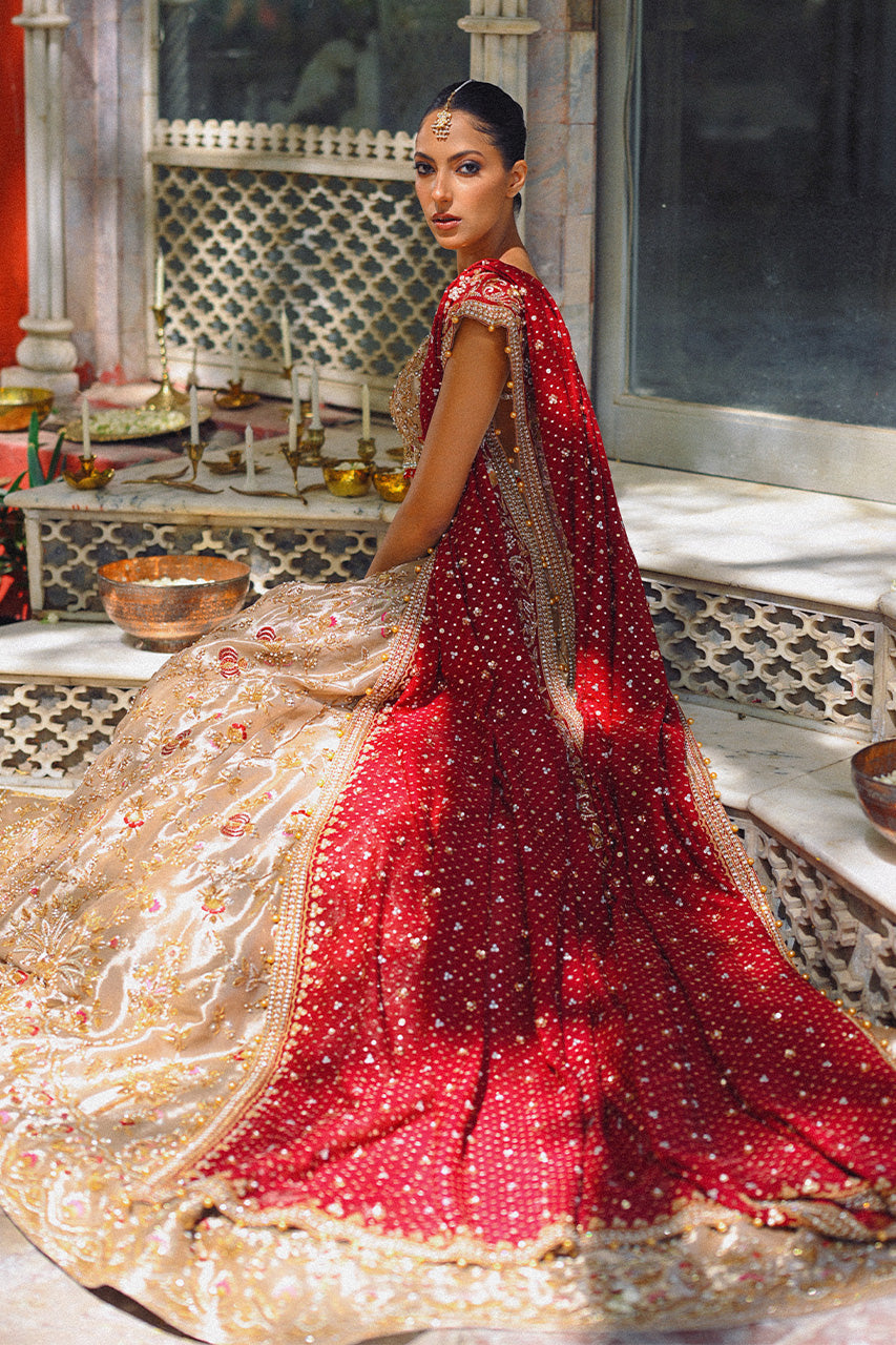 Gold Zardozi Tissue Lehnga Choli (3-Piece) - Image 7