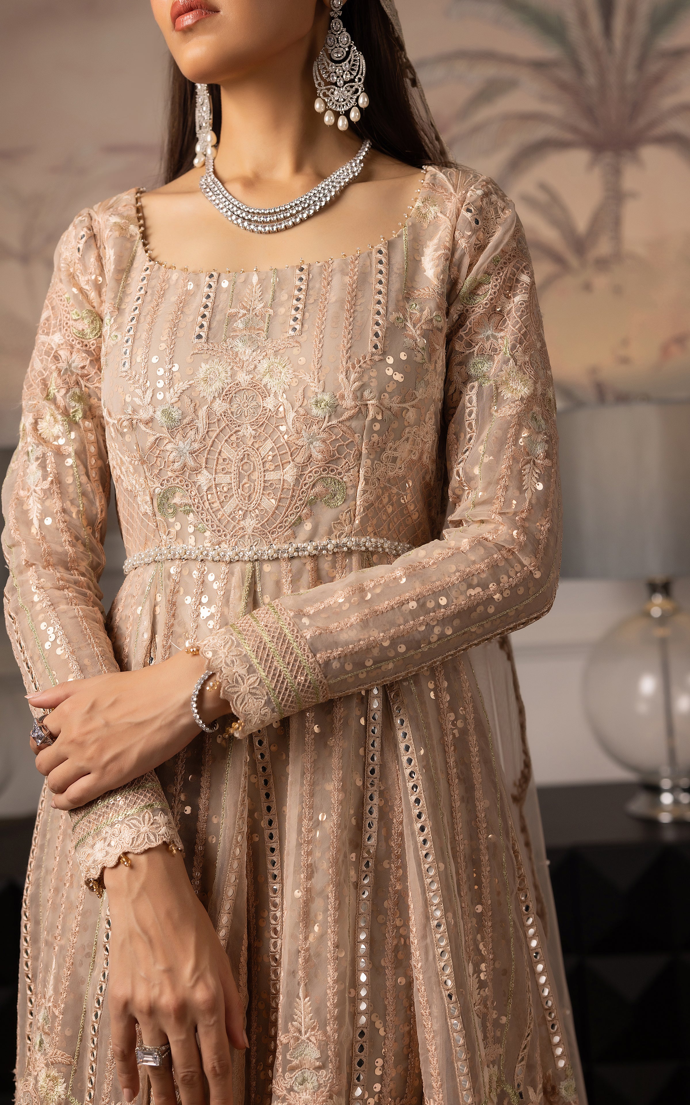 Pakistani Champagne Embroidered Net Maxi Dress (2-Piece) - Image 3