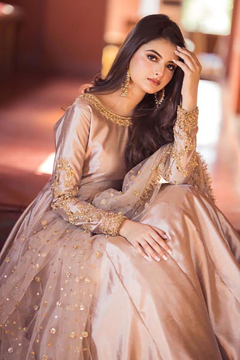 Pakistani Champagne Embroidered Raw Silk Maxi Dress (2-Piece) - Image 3