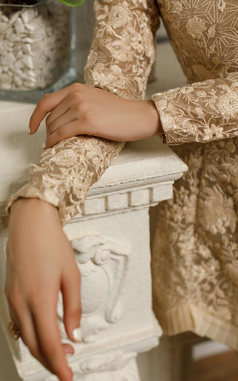 Champagne Gold Embroidered Net Peplum Dress (2-Piece) - Image 3