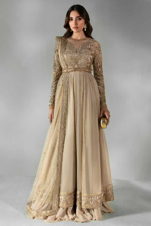 Pakistani Champagne Gold Hand-Embroidered Chiffon & Net Pishwas (3-Piece) - Image 2