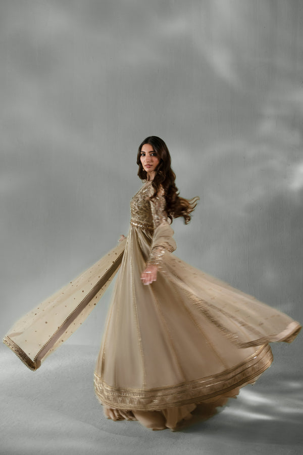 Pakistani Champagne Gold Hand-Embroidered Chiffon & Net Pishwas (3-Piece) - Image 7