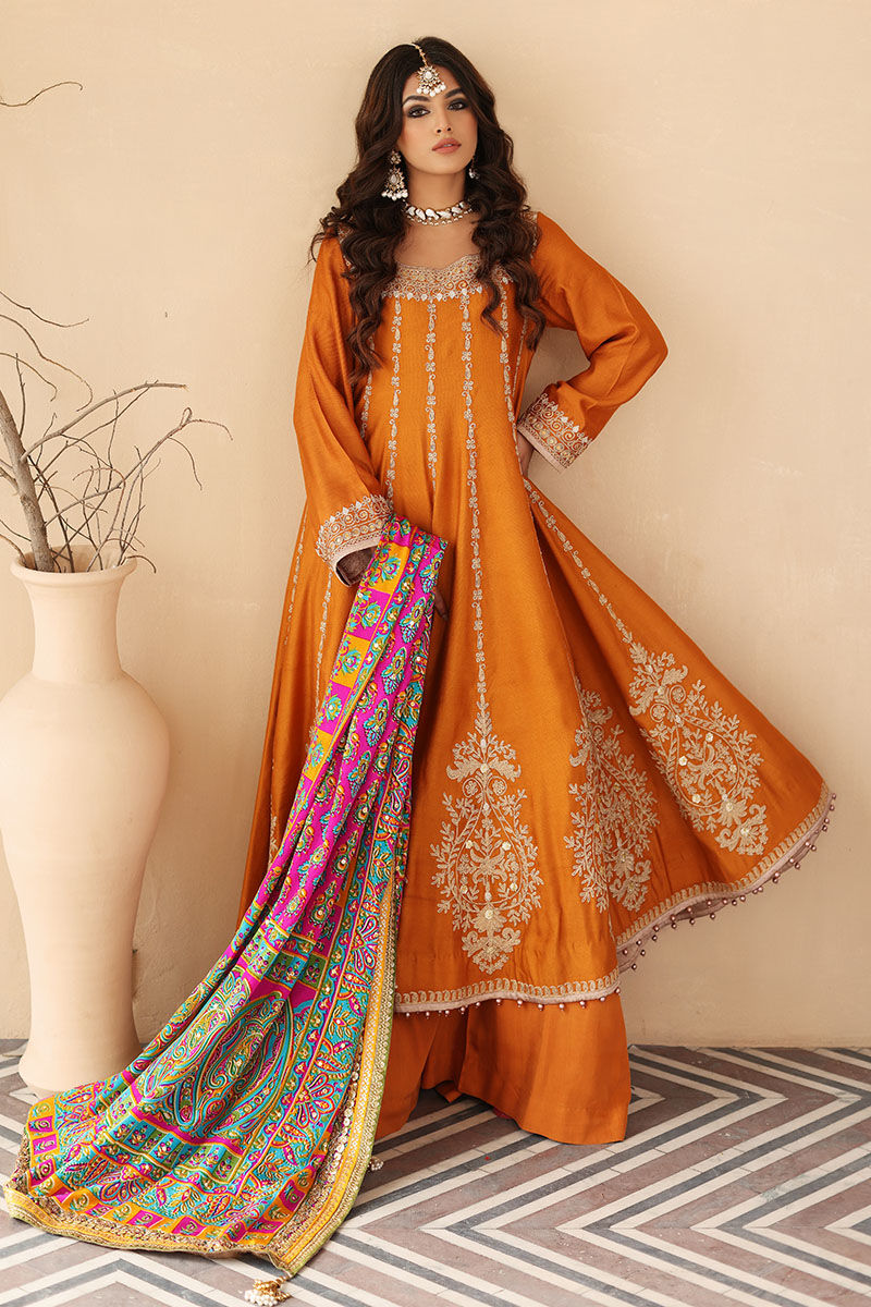 Golden Rust Embroidered Cotton Net Pishwas (3-Piece) - Image 1