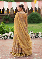 Pakistani Mustard Gold Embroidered Net Bridal Pishwas (3-Piece) - Image 5