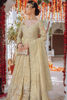 Pakistani Gold Hand-Embellished Tissue Pishwas Dress (3-Piece) - Image 5