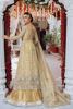 Pakistani Gold Hand-Embellished Tissue Pishwas Dress (3-Piece) - Image 6
