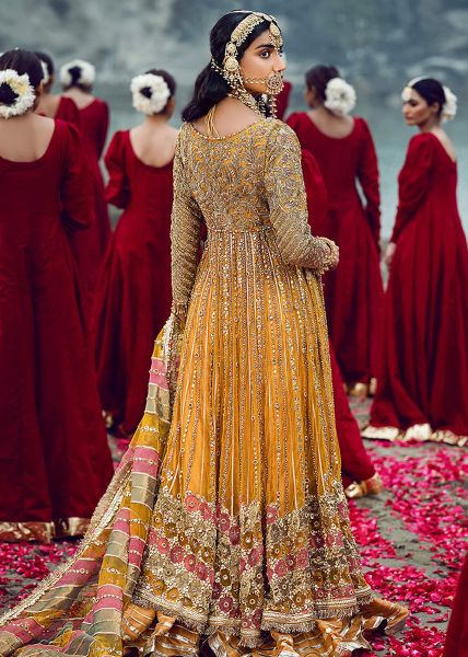 Indian Mustard Gold Embellished Net Bridal Pishwas (2-Piece) - Image 3