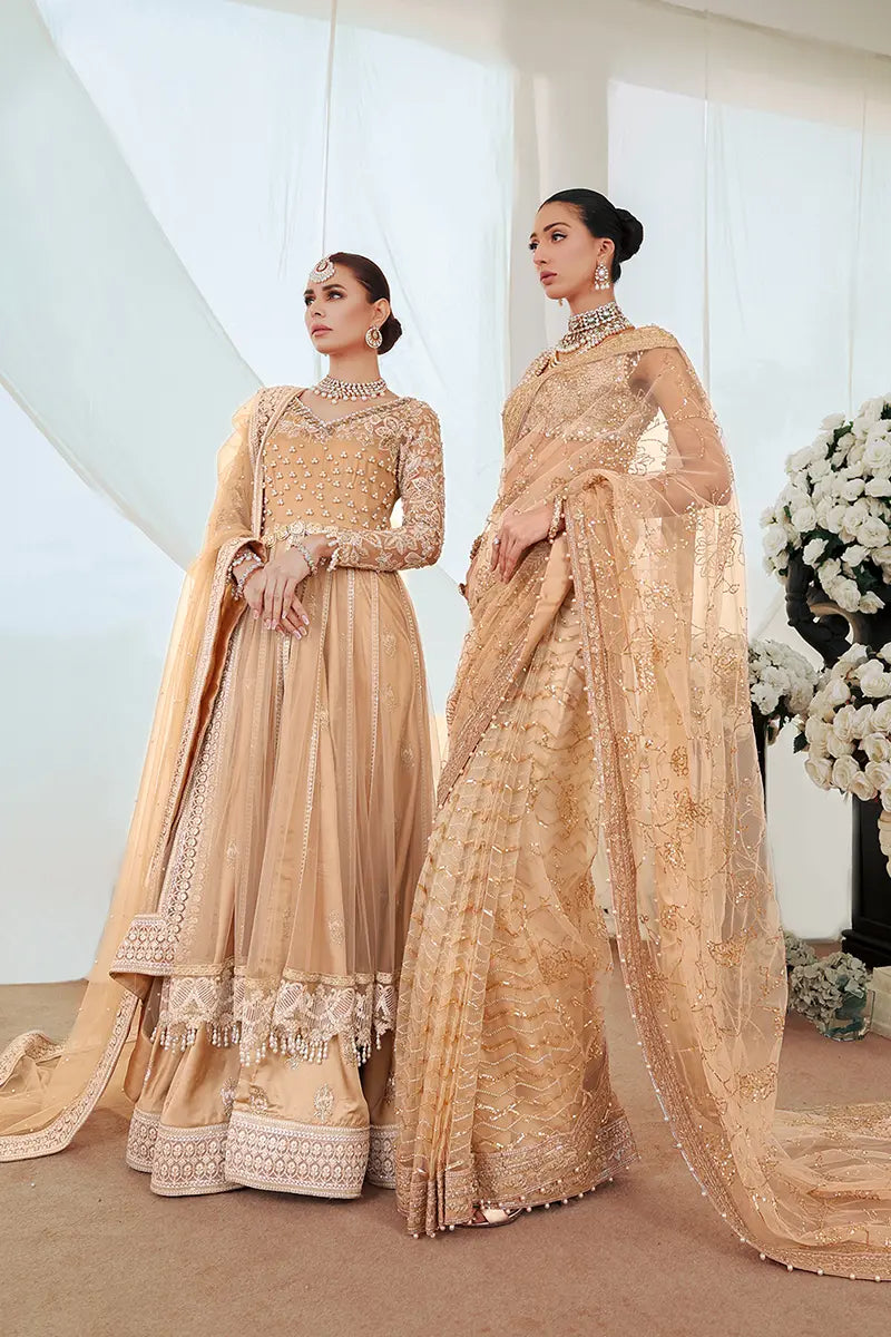 Pakistani Gold Embroidered Net Pishwas Dress (3-Piece) - Image 10