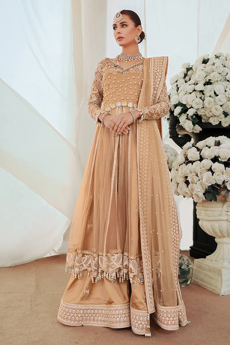 Pakistani Gold Embroidered Net Pishwas Dress (3-Piece) - Image 11