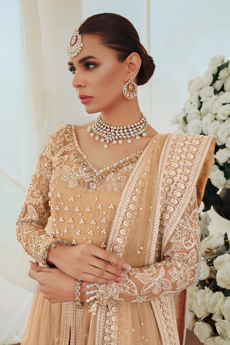 Pakistani Gold Embroidered Net Pishwas Dress (3-Piece) - Image 2
