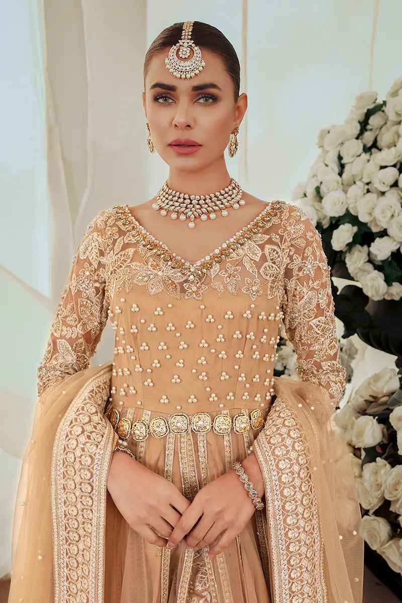 Pakistani Gold Embroidered Net Pishwas Dress (3-Piece) - Image 3