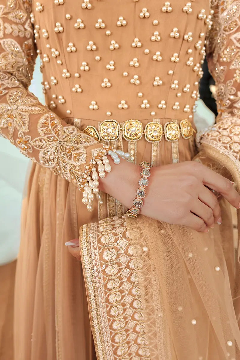 Pakistani Gold Embroidered Net Pishwas Dress (3-Piece) - Image 5