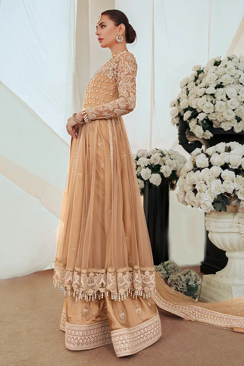 Pakistani Gold Embroidered Net Pishwas Dress (3-Piece) - Image 6