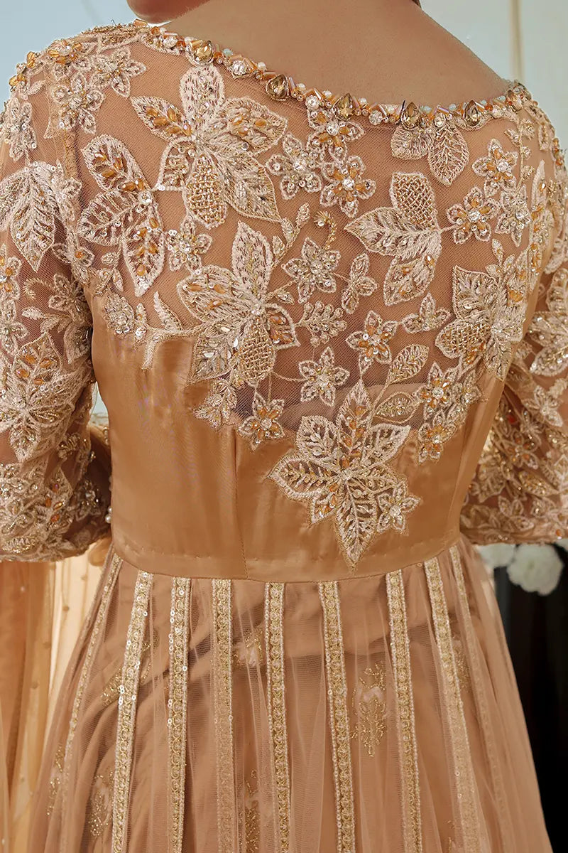 Pakistani Gold Embroidered Net Pishwas Dress (3-Piece) - Image 7