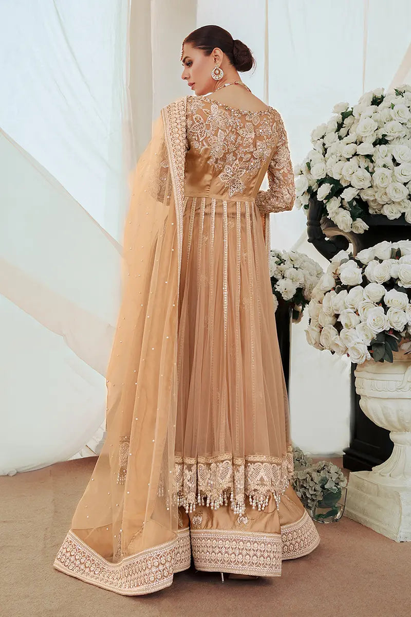 Pakistani Gold Embroidered Net Pishwas Dress (3-Piece) - Image 8