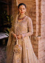 Pakistani Gold Embellished Net Tissue Pishwas (3-Piece) - Image 6
