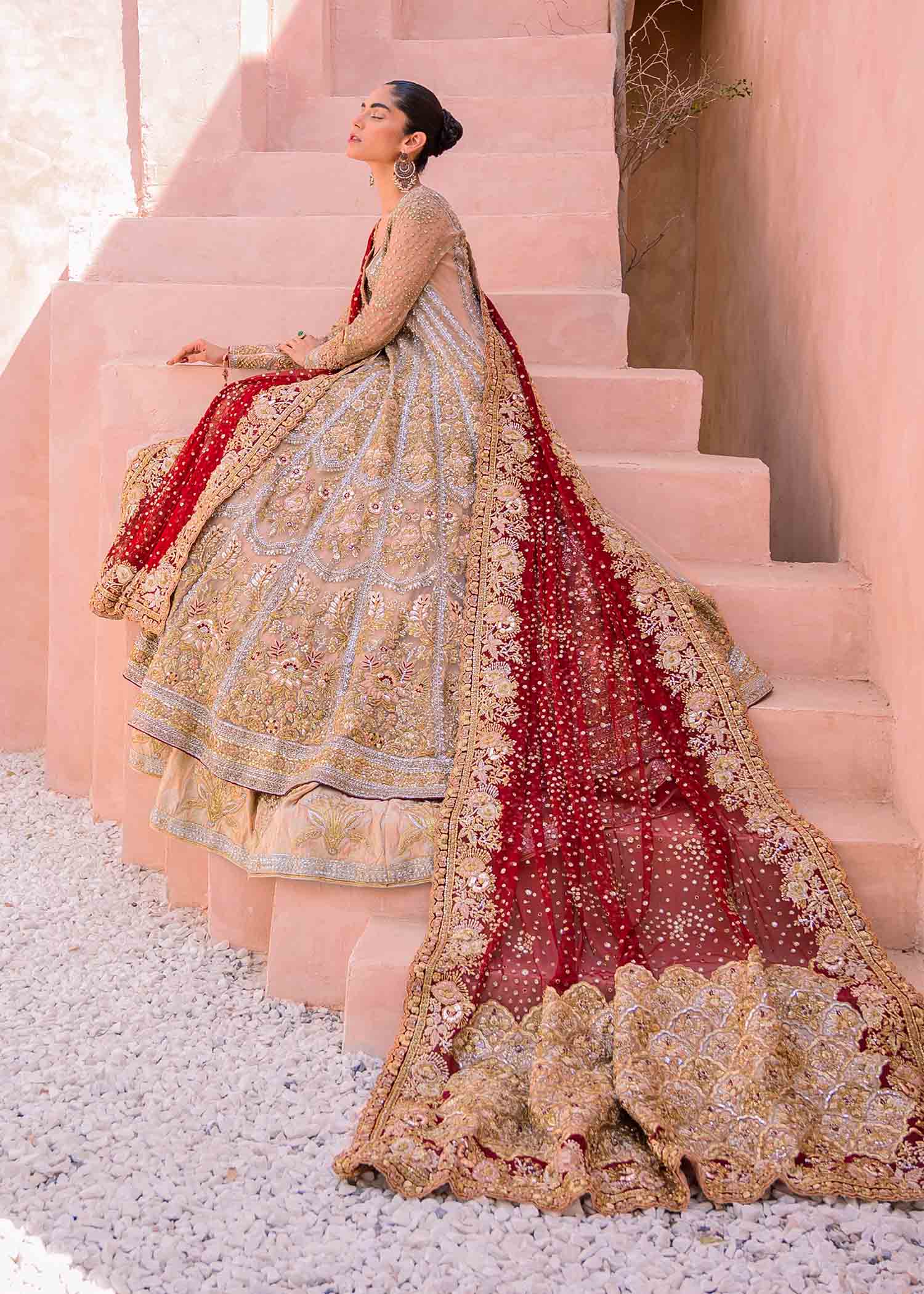 Pakistani Gold and Red Embellished Net Tissue Pishwas (2-Piece) - Image 3