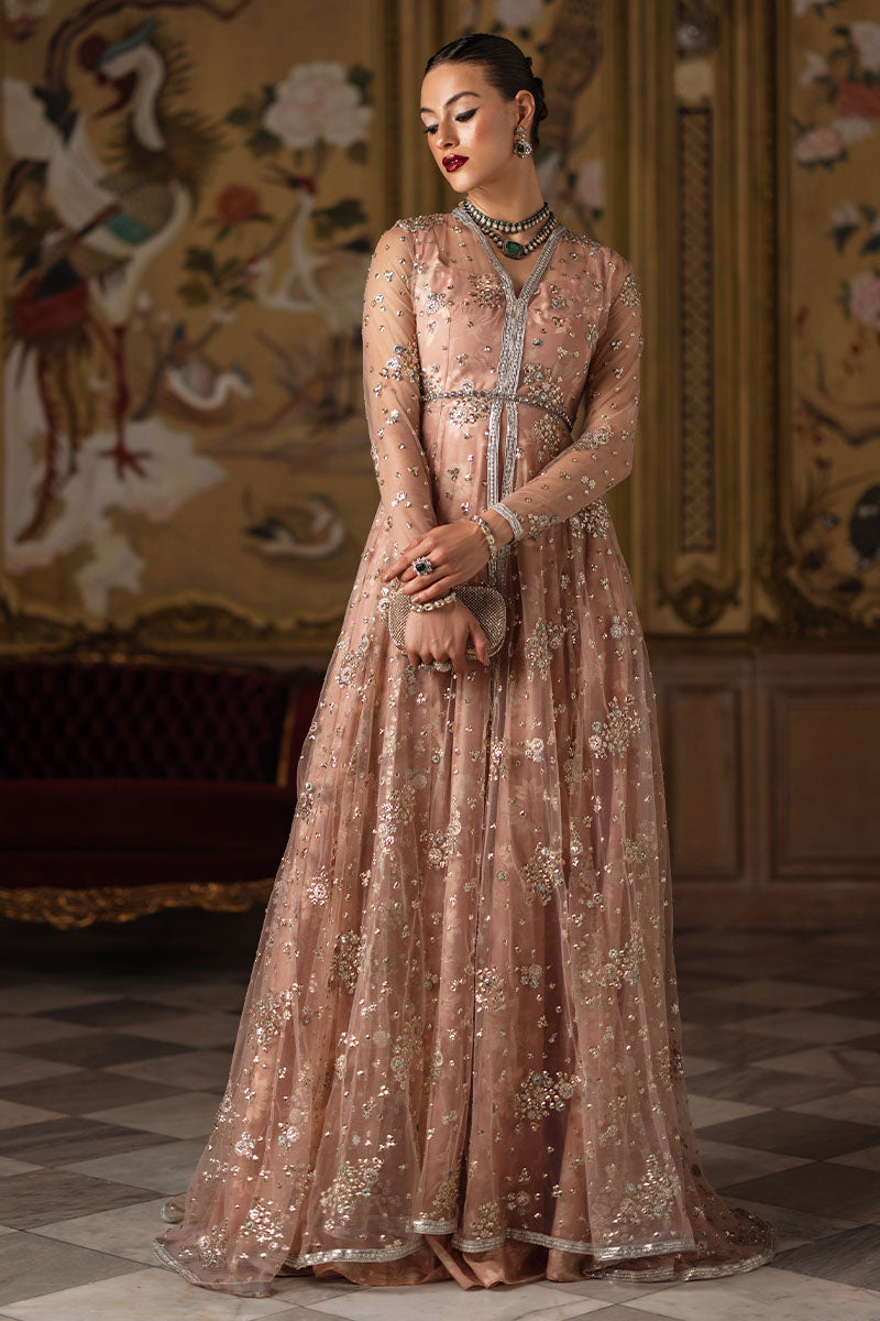 Pakistani Champagne Embroidered Organza & Silk Pishwas (3-Piece) - Image 1