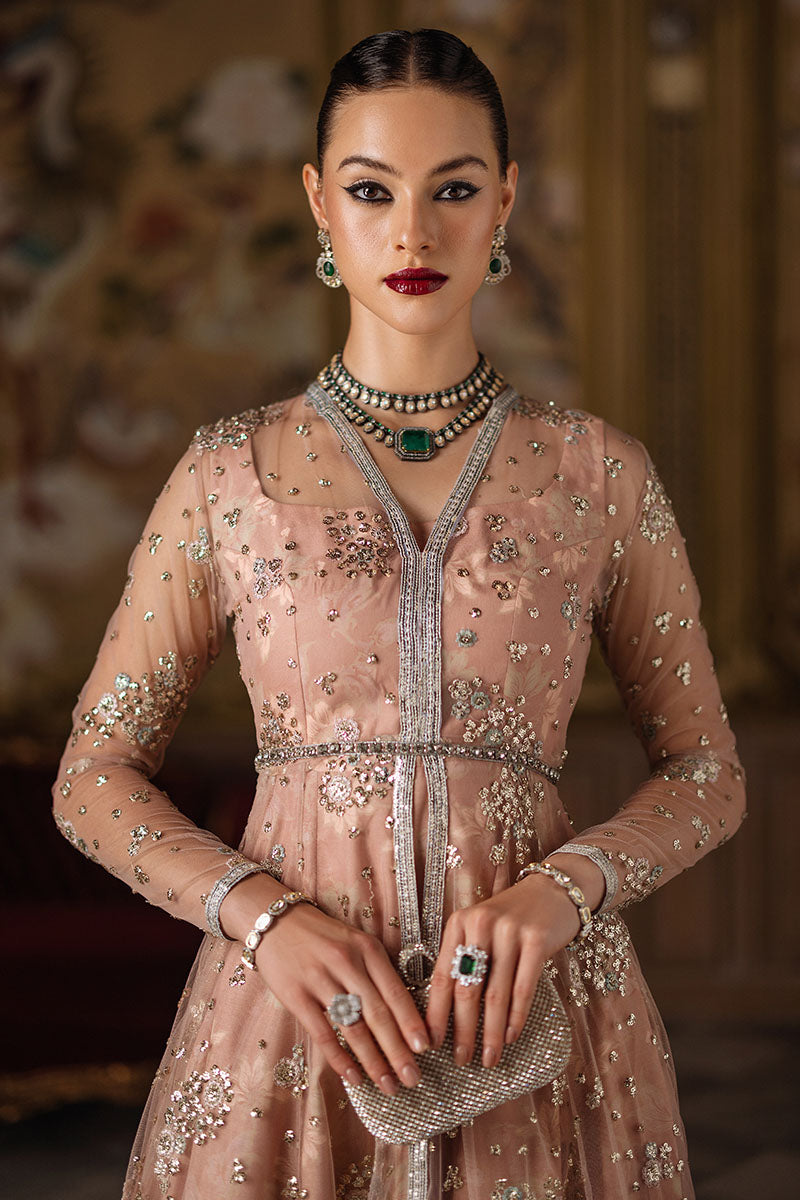 Pakistani Champagne Embroidered Organza & Silk Pishwas (3-Piece) - Image 3