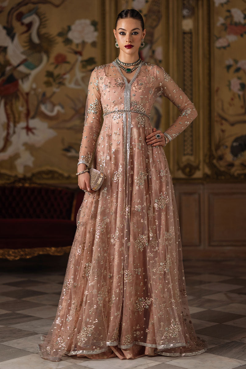 Pakistani Champagne Embroidered Organza & Silk Pishwas (3-Piece) - Image 5