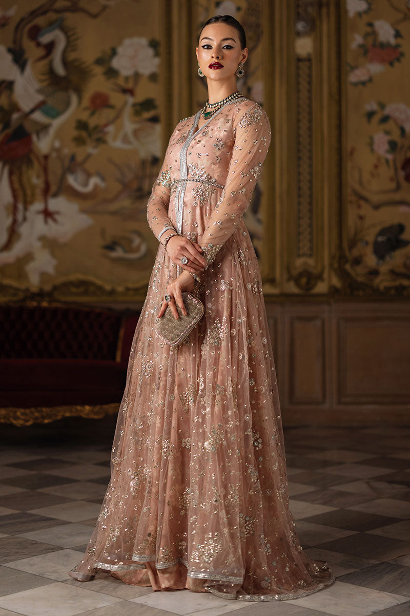 Pakistani Champagne Embroidered Organza & Silk Pishwas (3-Piece) - Image 6