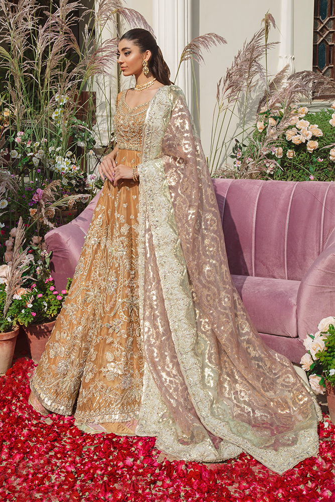 Gold Embroidered Organza Pishwas Dress (3-Piece) - Image 1