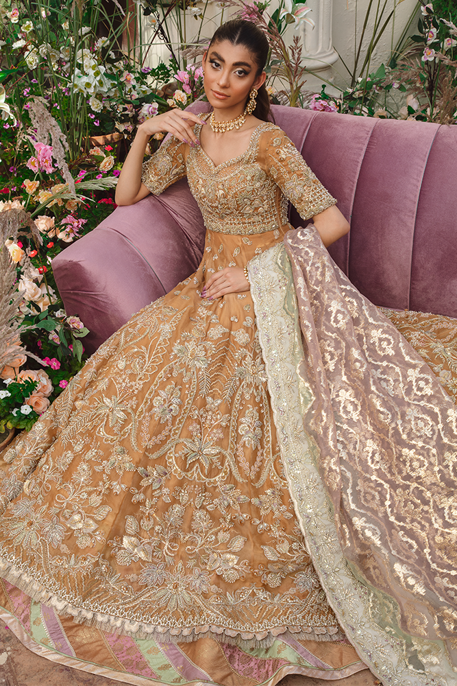 Gold Embroidered Organza Pishwas Dress (3-Piece) - Image 4