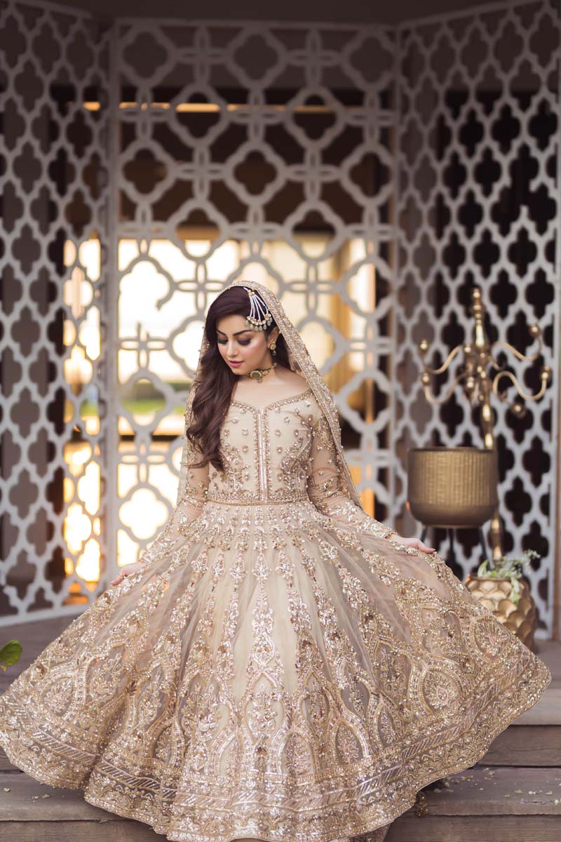 Champagne Embellished Net Pishwas Dress (3-Piece) - Image 6