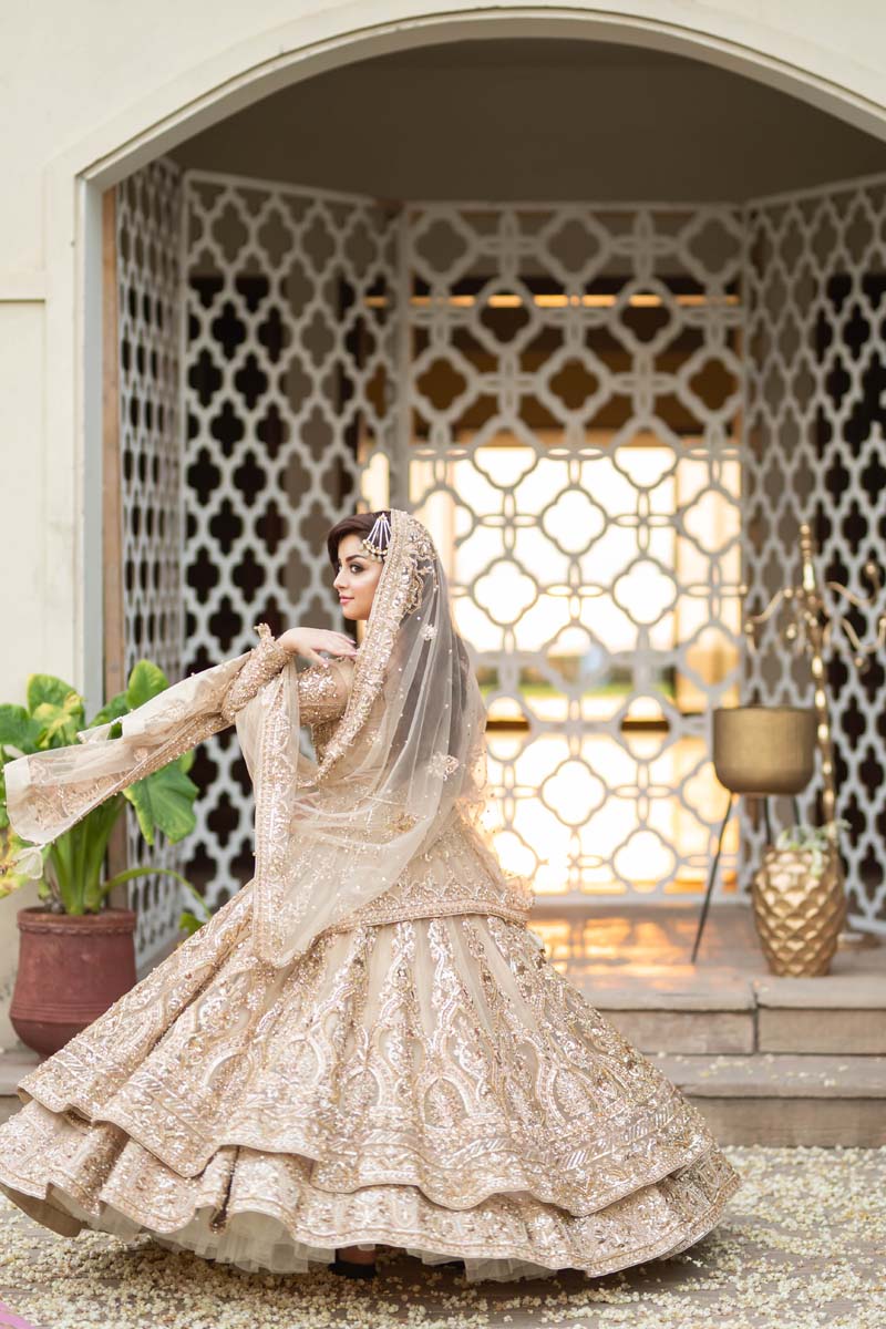 Champagne Embellished Net Pishwas Dress (3-Piece) - Image 7