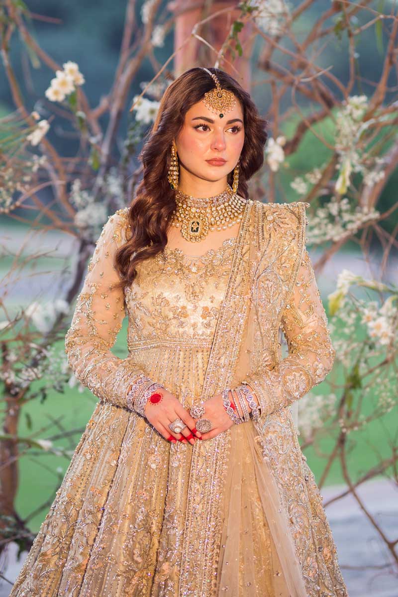 Pakistani Gold Embroidered Net Pishwas Dress (3-Piece) - Image 4