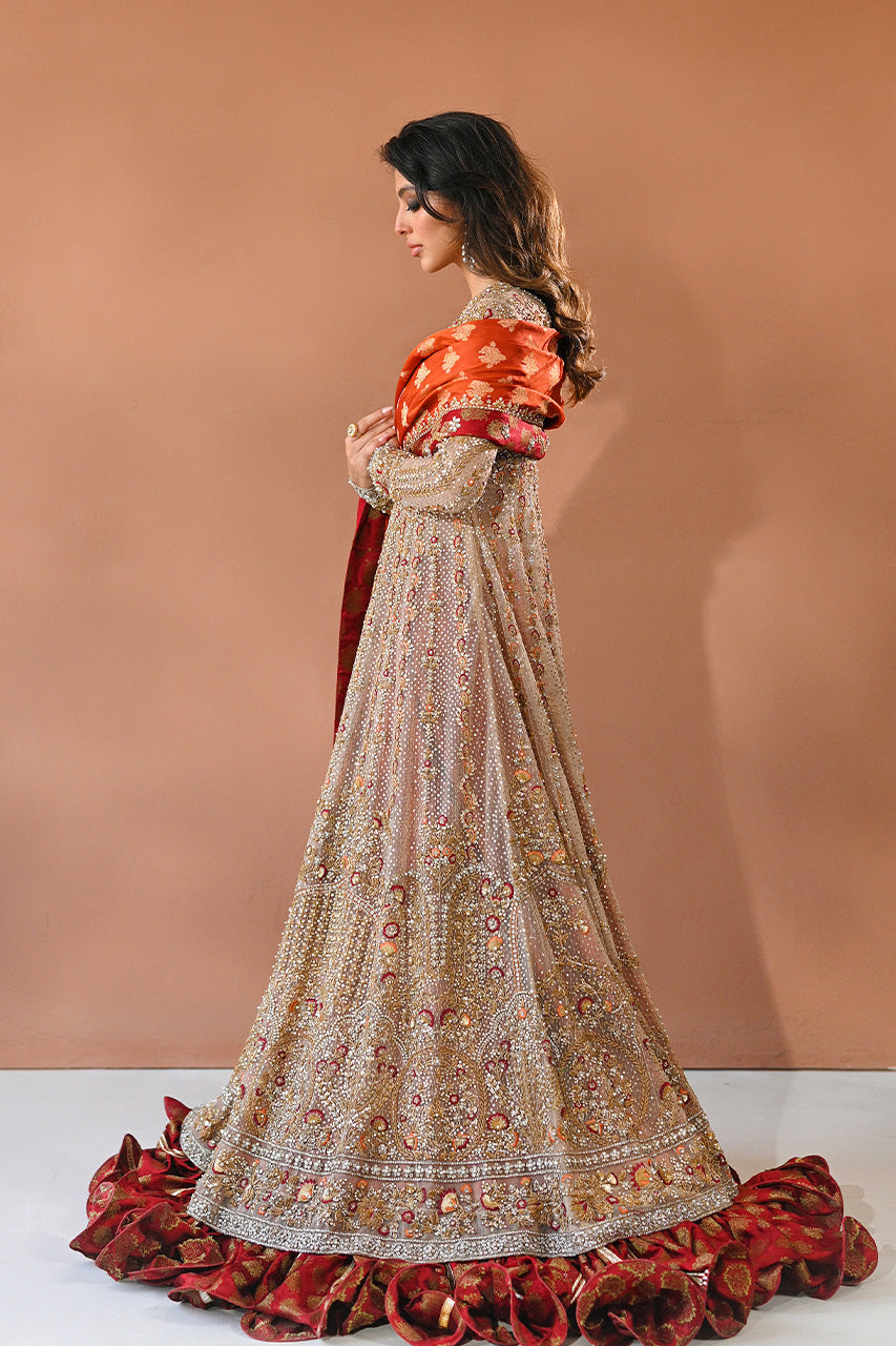 Champagne Zardozi Tulle Pishwas Dress (3-Piece) - Image 4