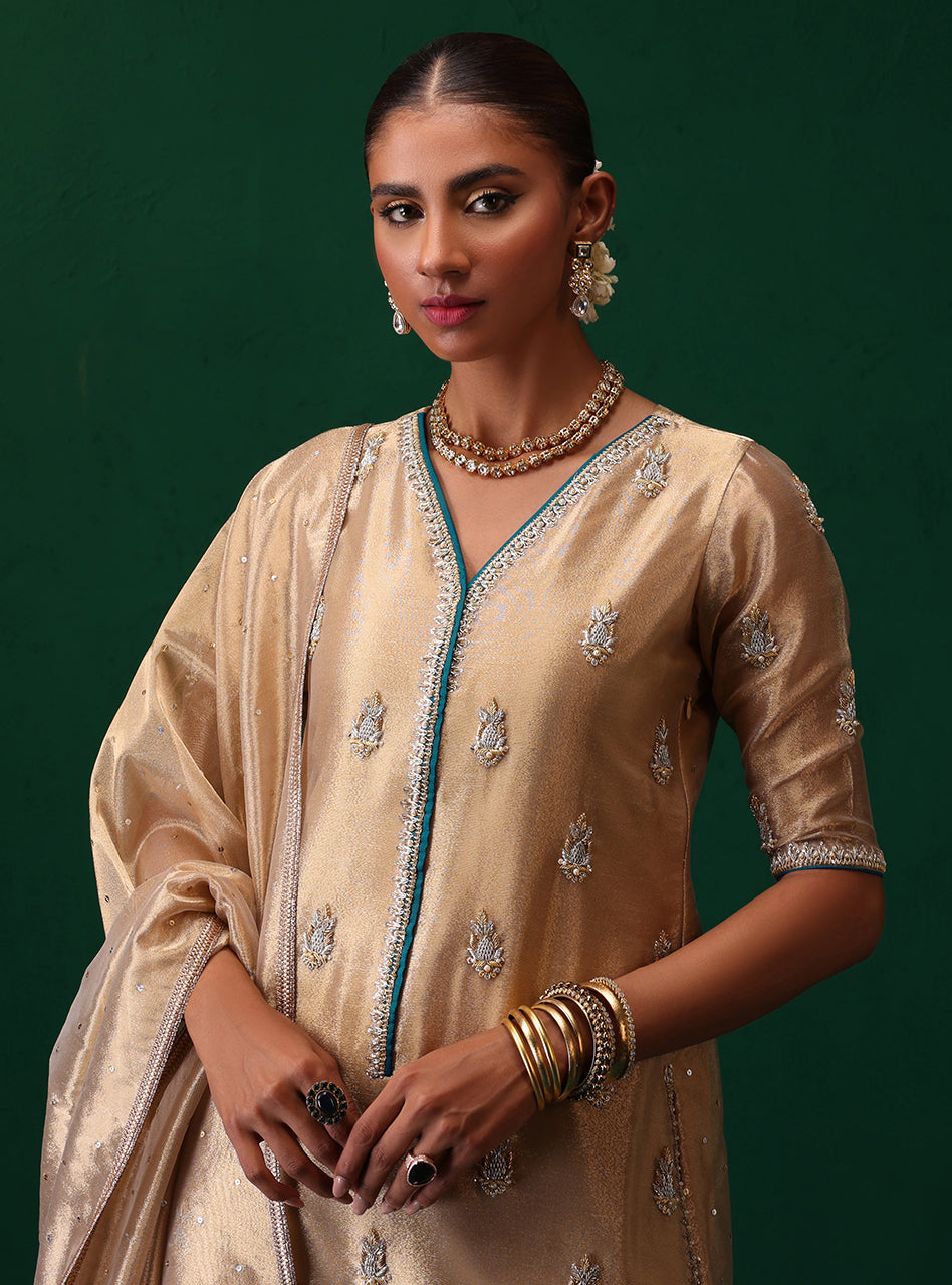 Pakistani Champagne Embroidered Brocade Salwar Kameez (3-Piece) - Image 7