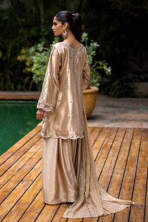 Golden Mukesh Kora Dabka Lamé Salwar Kameez (3-Piece) - Image 6