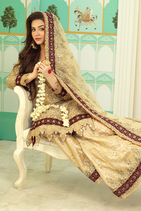 Gold Zardozi Maysuri Net Salwar Kameez (3-Piece) - Image 4