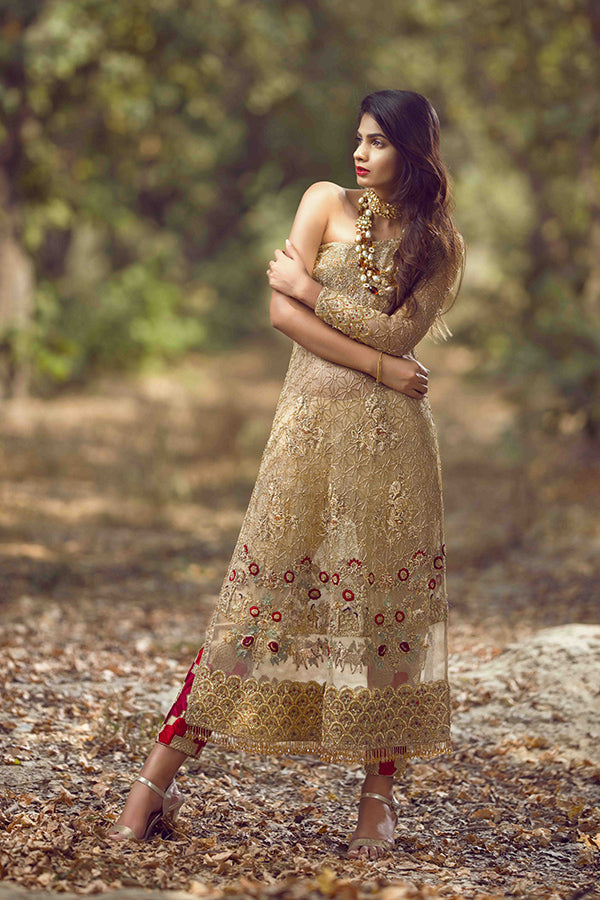 Gold Embroidered Net Salwar Kameez (2-Piece) - Image 2