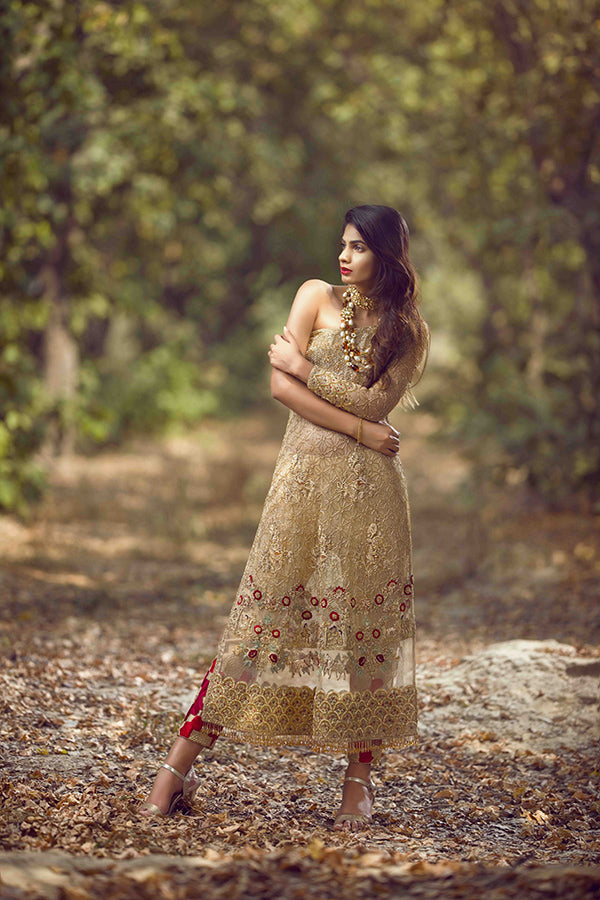 Gold Embroidered Net Salwar Kameez (2-Piece) - Image 4