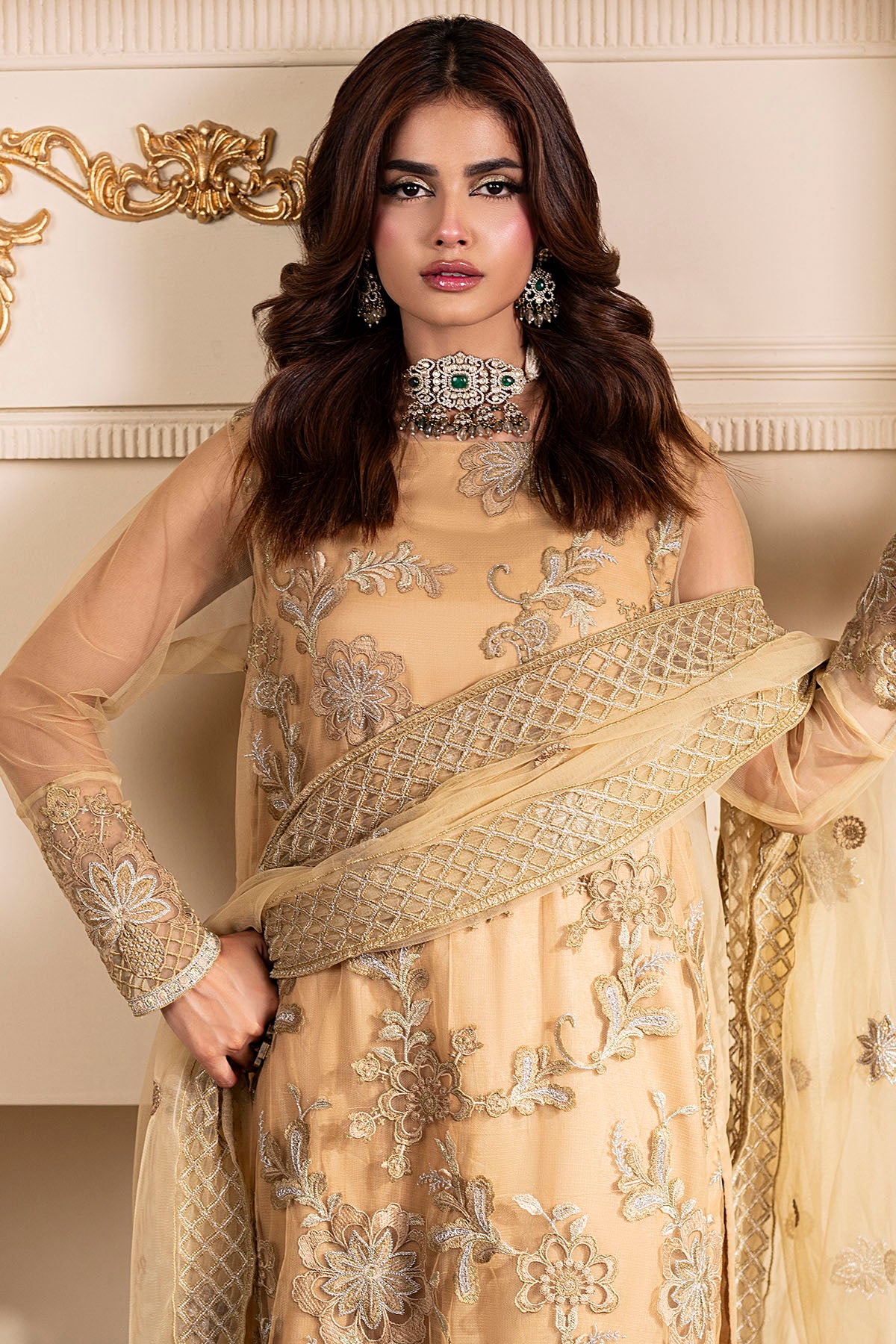 Pakistani Champagne Embroidered Net Salwar Kameez (3-Piece) - Image 3