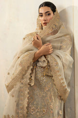 Pakistani Champagne Embroidered Net & Raw Silk Salwar Kameez (3-Piece) - Image 1