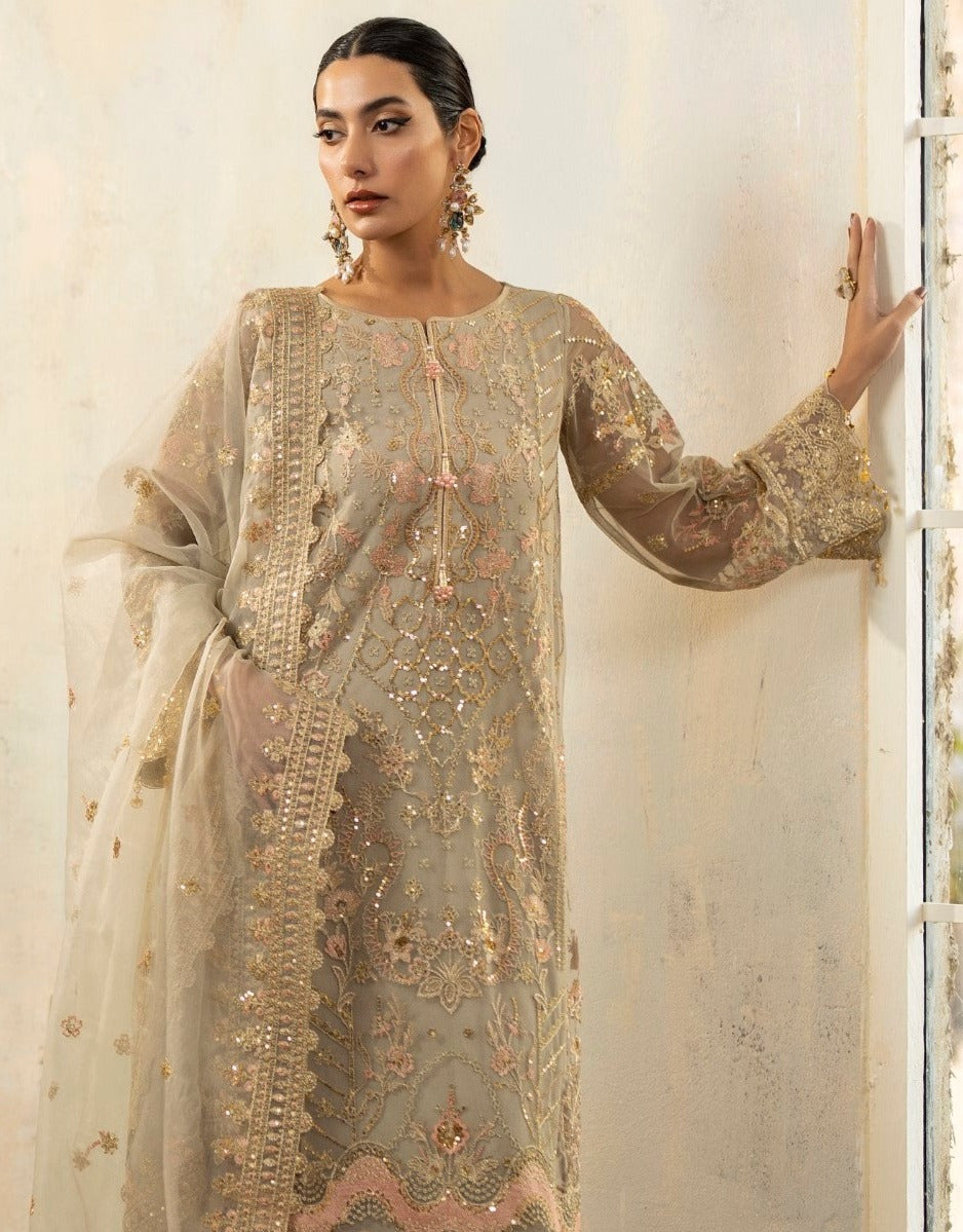 Pakistani Champagne Embroidered Net & Raw Silk Salwar Kameez (3-Piece) - Image 3