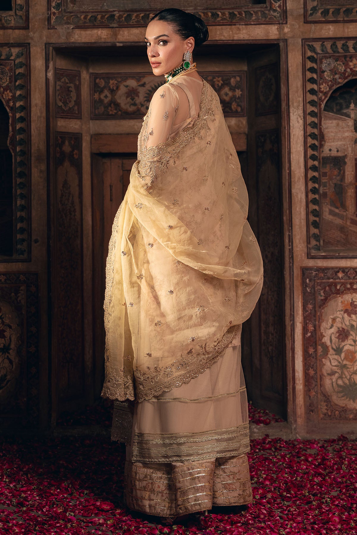 Champagne Embroidered Net & Organza Salwar Kameez (3-Piece) - Image 4