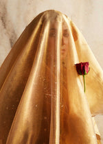 Pakistani Gold Embroidered Organza Jacket Dress (3-Piece) - Image 8