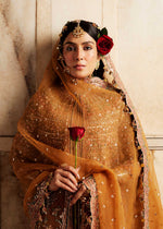Pakistani Gold Embroidered Organza Jacket Dress (3-Piece) - Image 9