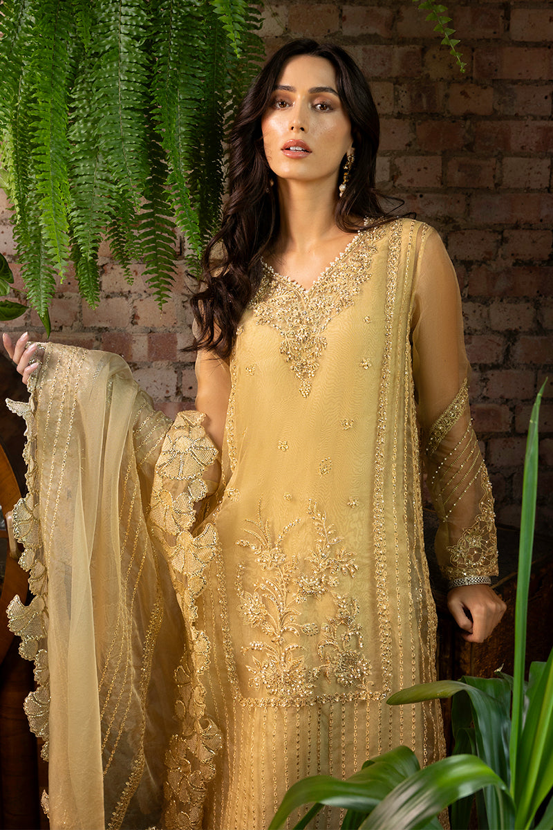 Pakistani Golden Embroidered Organza Salwar Kameez (3-Piece) - Image 3