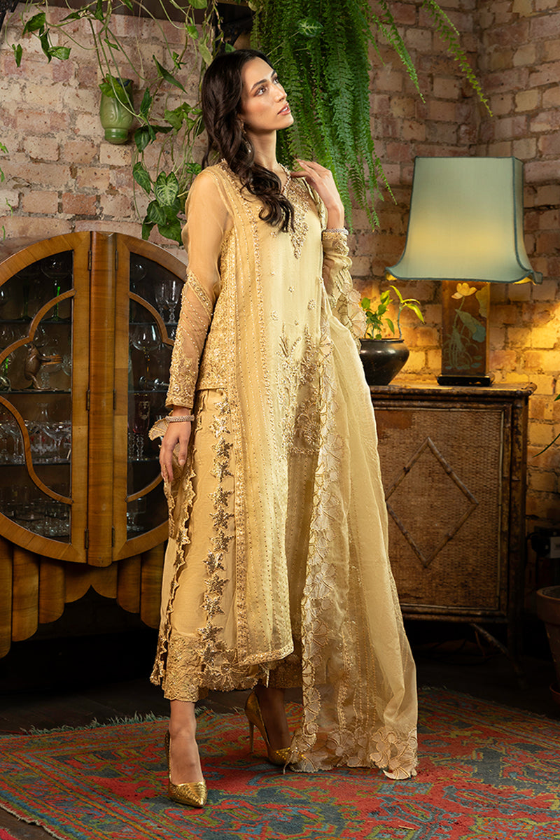 Pakistani Golden Embroidered Organza Salwar Kameez (3-Piece) - Image 4