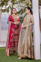Golden Bronze Embroidered Organza Salwar Kameez (3-Piece) - Image 11